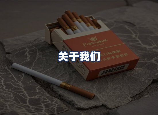 关于我们